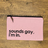 Sounds Gay Small Pouch